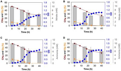 Transcriptional and metabolomic responses of Methylococcus capsulatus Bath to nitrogen source and temperature downshift